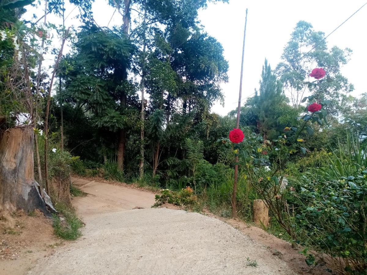 Apurvi Homestay Ella Esterno foto